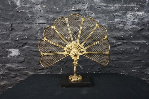 Antique brass peacock fan fire - brass,